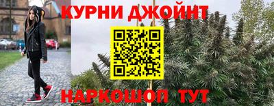 прущие грибы Краснодар