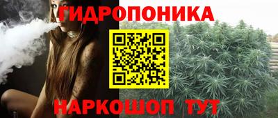 прущие грибы Краснодар