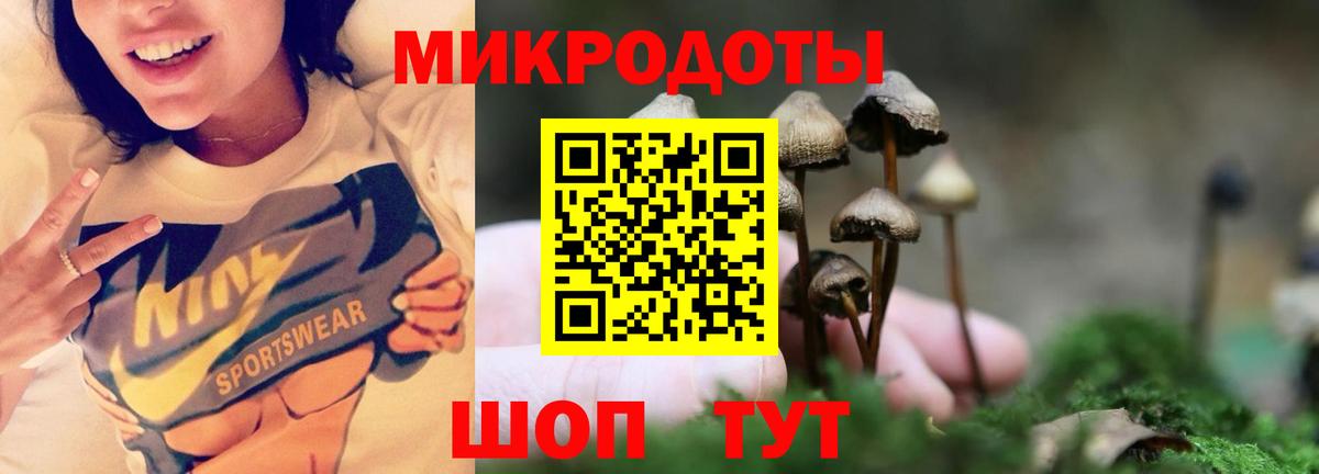 Галлюциногенные грибы GOLDEN TEACHER Зеленогорск
